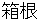 hakone