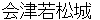 aiZuwakamatsujyou