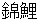 nishikigoi