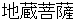 jizoubosatsu
